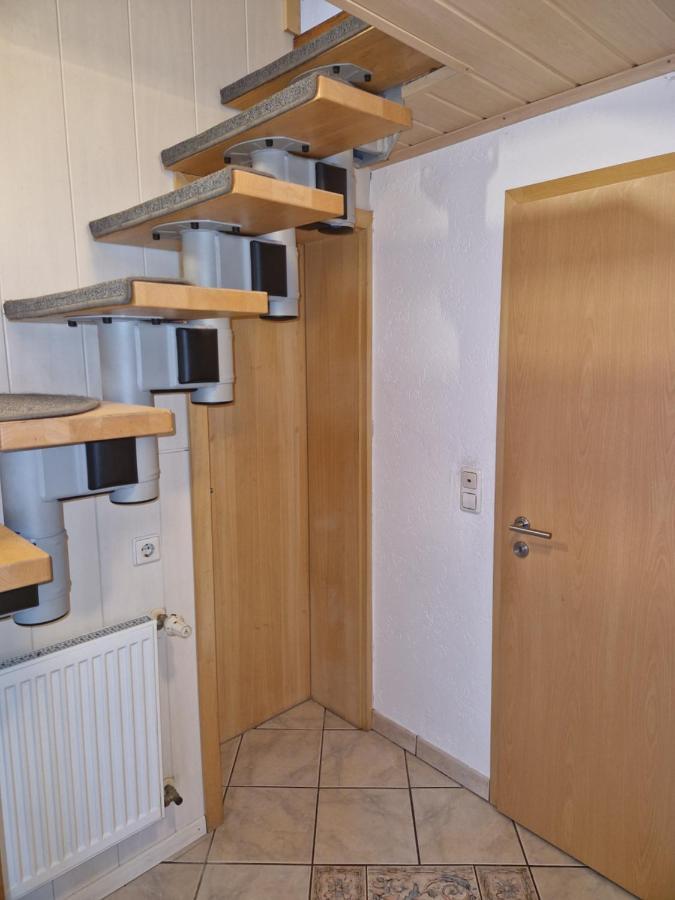 Ferienwohnung Blumenshein Bei Speyer Karlsruhe Familienfreundlich 5 Pers Zeiskam 외부 사진