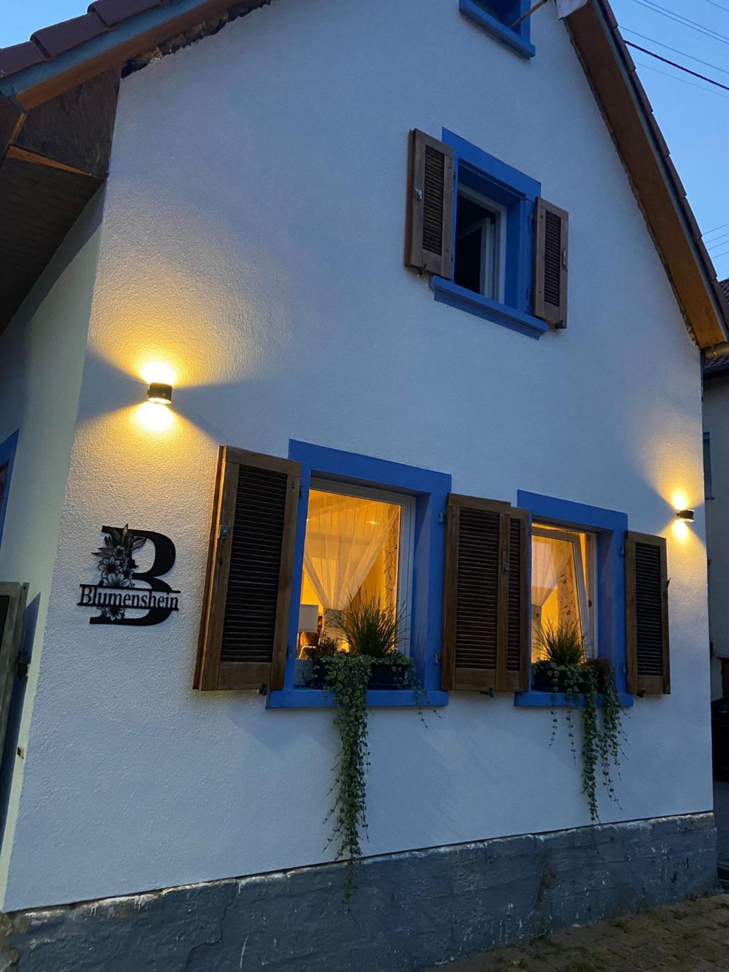 Ferienwohnung Blumenshein Bei Speyer Karlsruhe Familienfreundlich 5 Pers Zeiskam 외부 사진